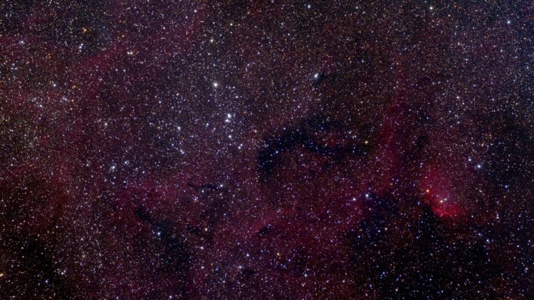 Молекулярная химия в космосе. Созвездие Лебедь является одним из самых заметных созвездий Северного Полушария. Фото.