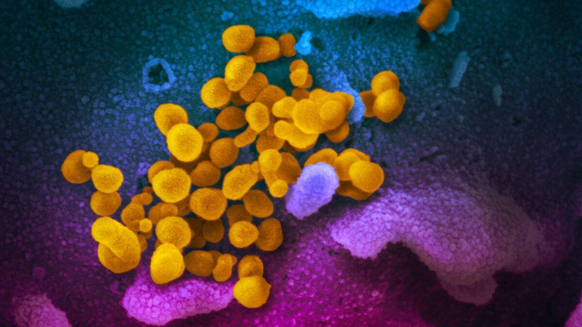 Как бы коронавирус е мутировал, победа все равно будет за нами. Фото.