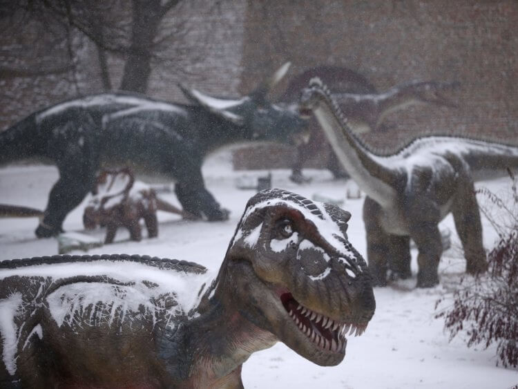 Когда динозавры бродили по Земле, она была на другой стороне Млечного Пути. На снимке динозавр в одном из парков Белграда, Сербия, в феврале 2018 года. Фото.