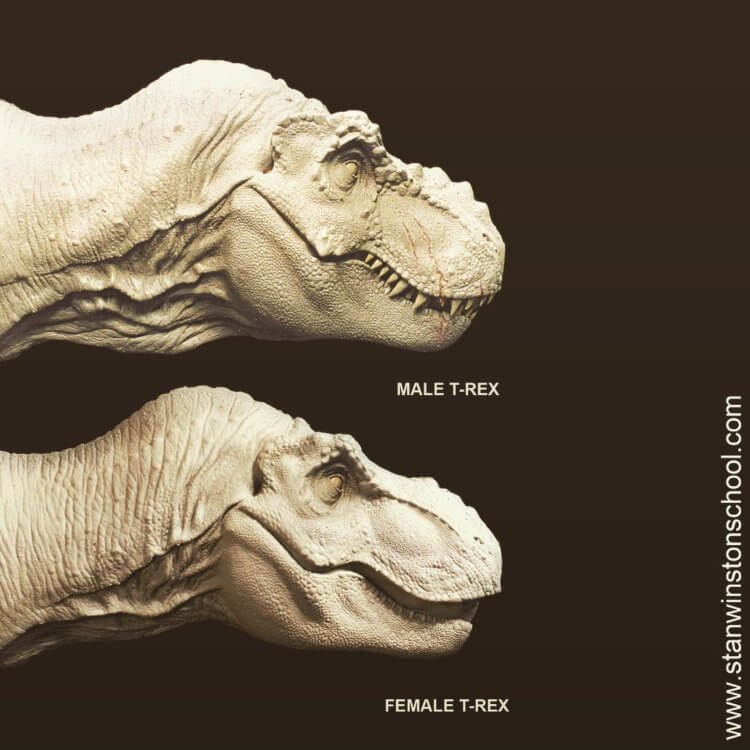 Половые отличия у динозавров. Примерно так были изображены самки и самцы тираннозавров в фильме Стивена Спилберга «Парк юрского периода». Фото.