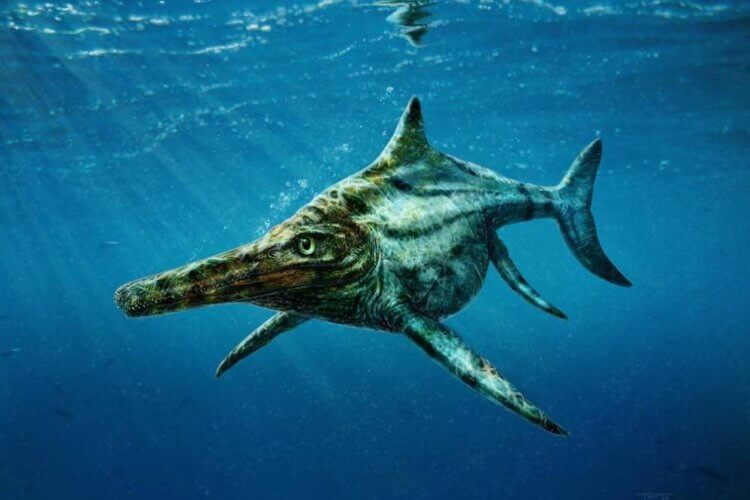 Ихтиозавр давил раковины моллюсков круглыми зубами. Большой собрат следит за тобой. Фото.