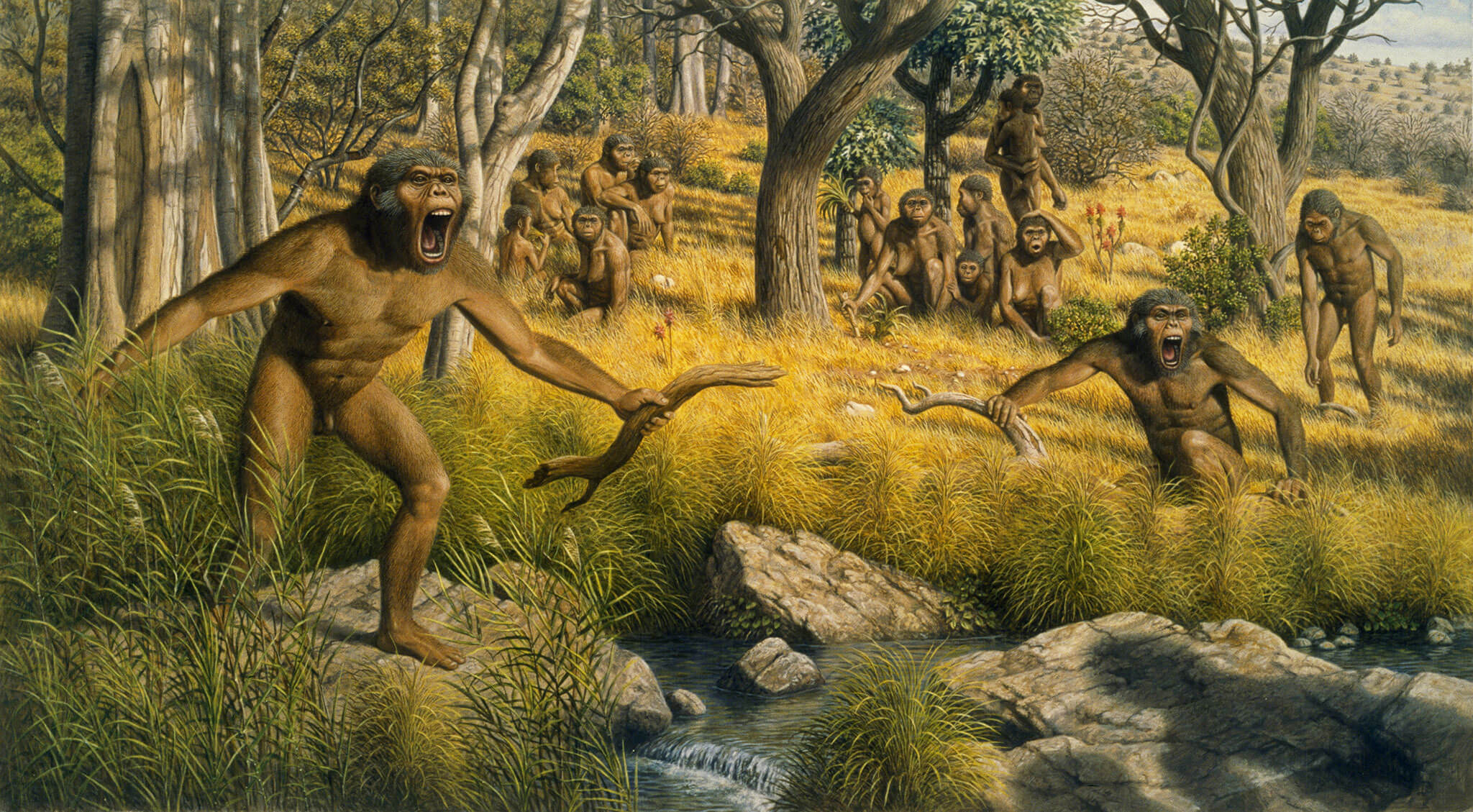 Предки людей жили на земле. Неоген австралопитеки. Австралопитеки гоминид. Древние люди австралопитеки. Австралопитек Южная обезьяна.
