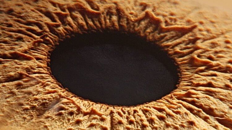 Как лечить глаукому? У глаз определенно есть что-то общее с черными дырами. Фото.