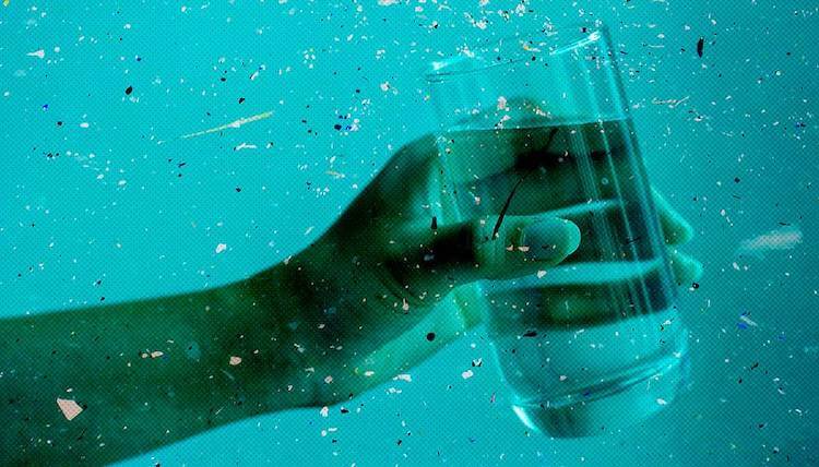 Микропластик в воде очень опасен, даже не смотря на то, что он «микро». Фото.