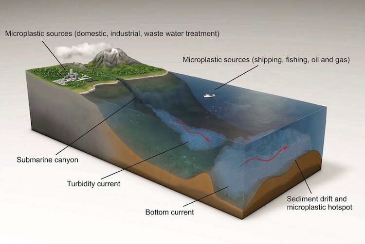 Так микропластик попадает в море. Фото.