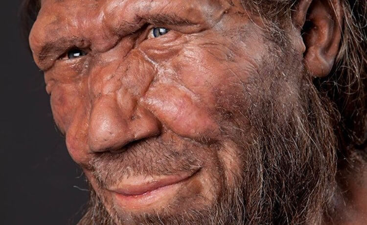 Неандертальцы были умнее, чем мы думаем. Иногда кажется, что мы о них ничего не знаем. Фото.