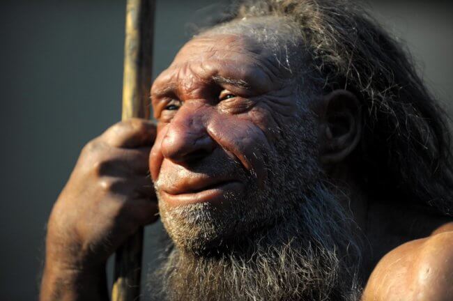 Правда ли, что наши предки убили неандертальцев? Фото.