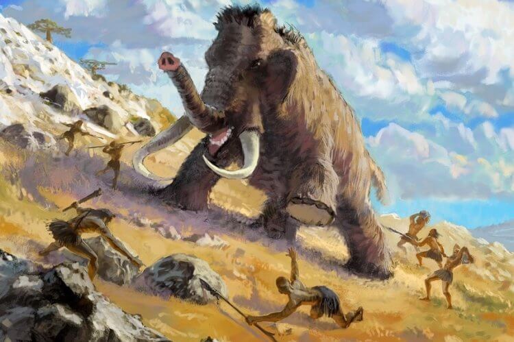 Какие слоны жили 300 000 лет назад и почему они вымерли? - Hi-News.ru