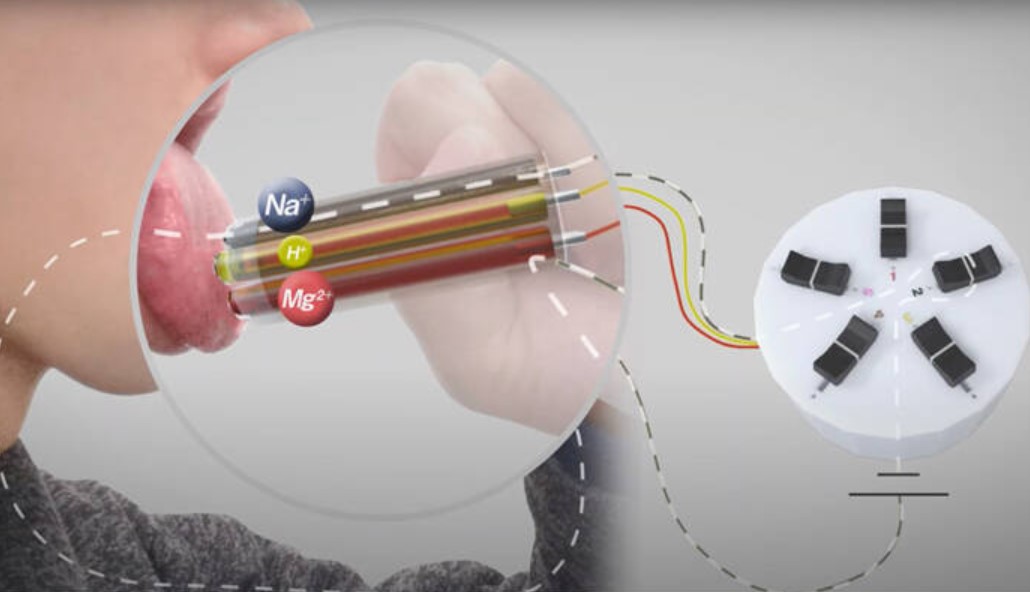 Слева — трубка, которую надо прислонить к языку, справа — пульт управления интенсивностью вкусов. Фото.