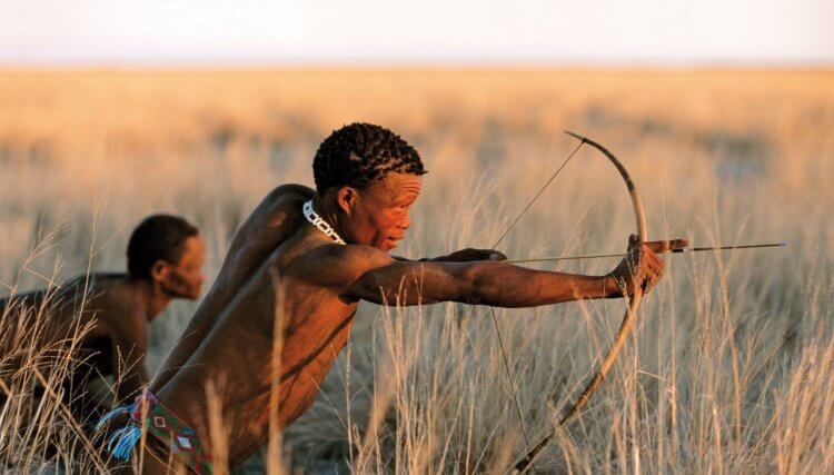 Когда люди начали охотиться с луком и стрелами? Лук и стрелы были изобретены людьми тысячи лет назад. Фото.