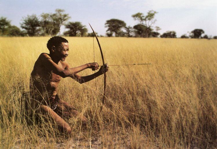Древние лук и стрелы. Ранее останки луков и стрел были найдены в Африке — им около 64 тысяч лет. Фото.