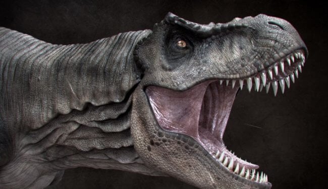 В Австралии жили загадочные динозавры, которые разорвали бы людей на куски. Фото.