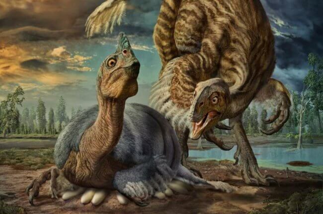 Важное открытие: яйца динозавров не были покрыты скорлупой. Фото.
