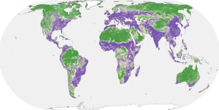 Состояние Земли. Фиолетовым цветом показаны тронутые человеком местности, а зеленым — нетронутые. Фото.