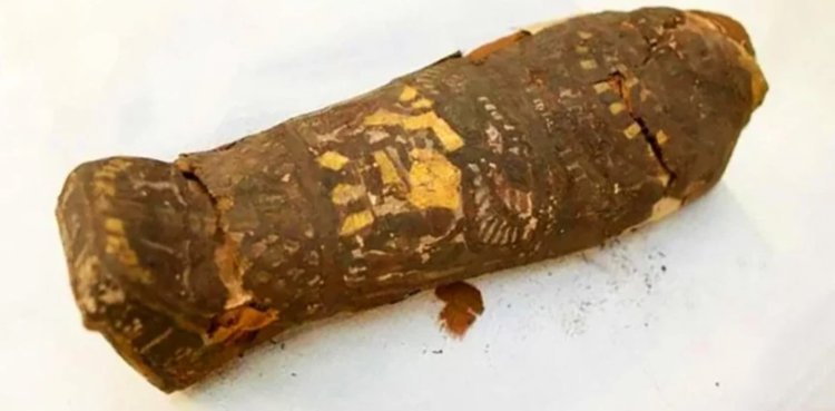 Мертворожденный ребенок. Ученые настолько были уверены, что обнаружили бальзамированное животное, что в музее экспонат хранился с названием «Мумифицированный ястреб EA 493». Фото.