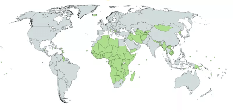 Есть ли в мире место без Макдональдса? Есть! Зелёным на карте отмечены страны, в которых отсутствует Макдональдс. Фото.
