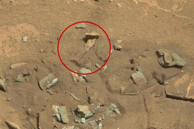 На поверхности Марса лежат «человеческие кости» и другие предметы — что это такое? Фото.