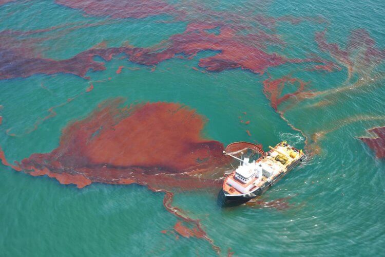 Разлив нефти в Мексиканском заливе — 800 тысяч тонн. Последствия разлива нефти в Мексиканском заливе. Фото.