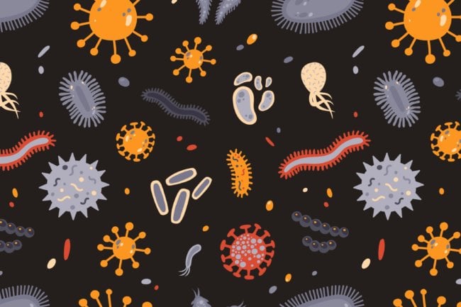 Чем отличаются бактерии, микробы и вирусы? Фото.