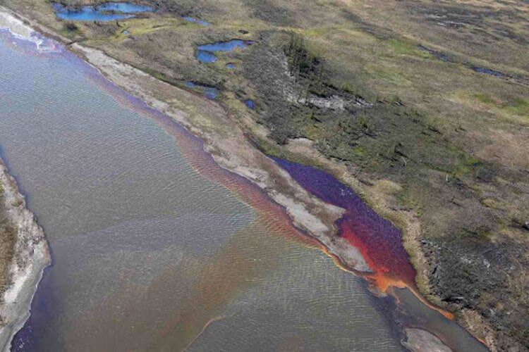 Разлив нефти в Норильске. Реки Амбарная и Далдыкан стали сильно загрязнены нефтепродуктами. Фото.