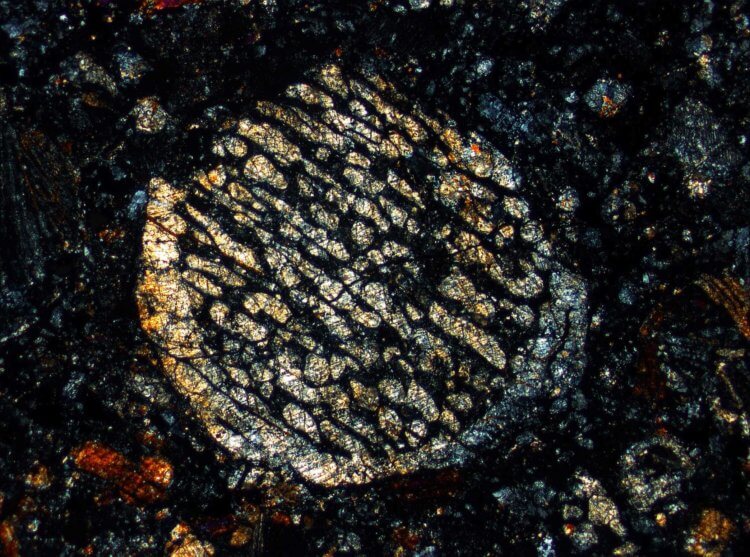 Метеориты на Земле. Перед вами увеличенный фрагмент метеорита – обыкновенного хондрита DHO 556 – в поляризованном свете. Фото.