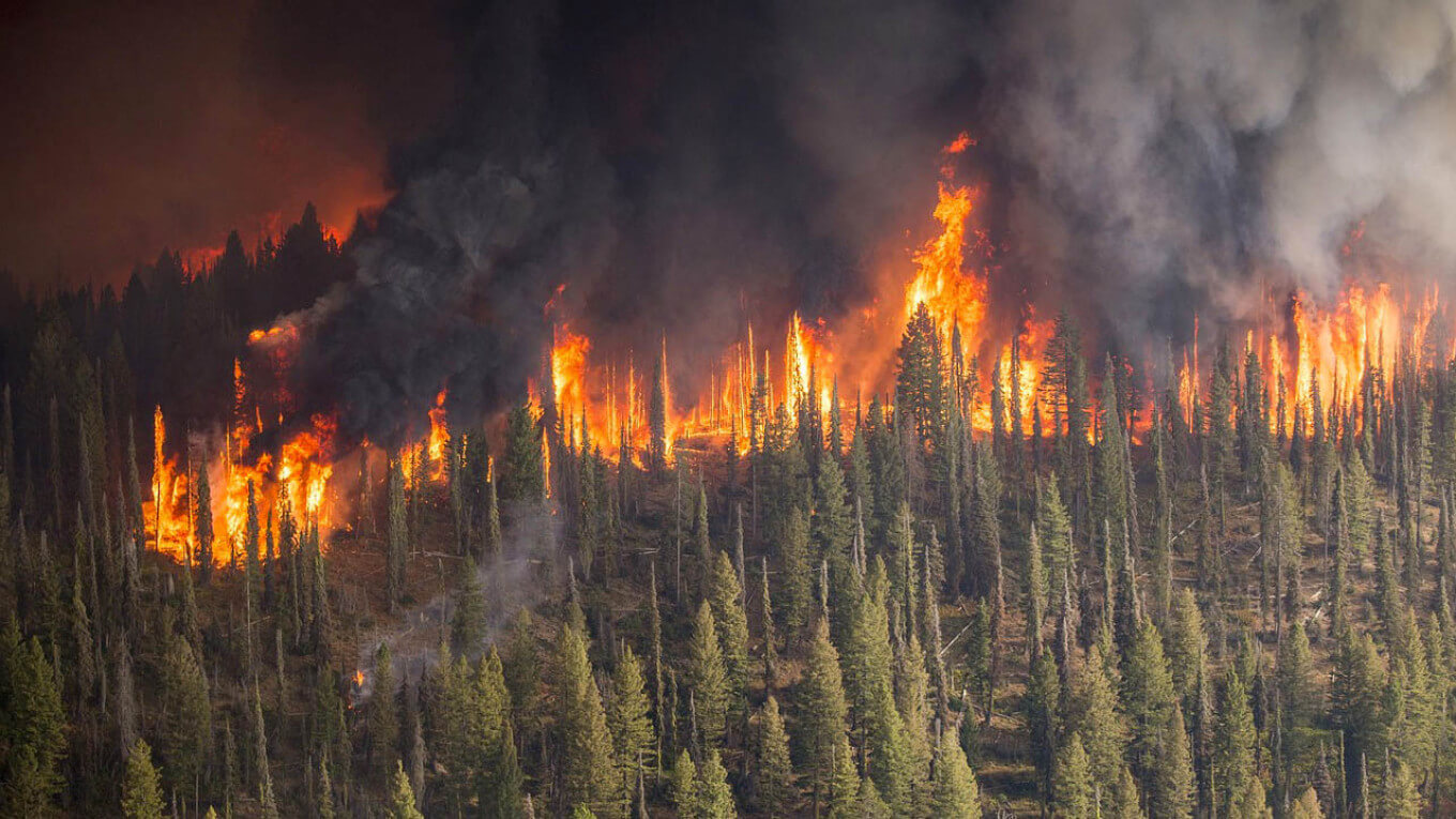 Климатический кризис. Пожары в Сибири сравнимы по своим масштабам с пожарами в Австралии. Фото.