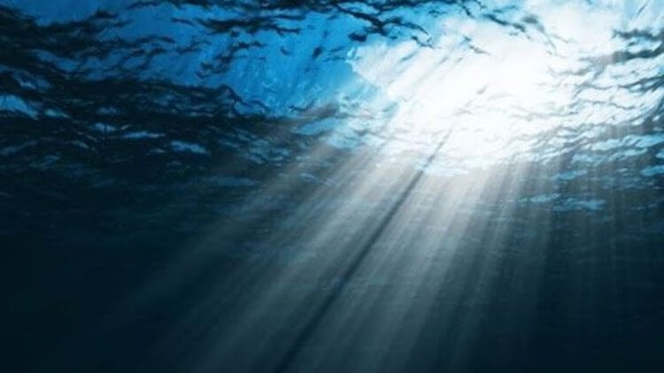 Какими бывают мистические звуки под водой в океане и откуда они берутся. Под водой можно встретить что угодно. Даже звуки. Фото.
