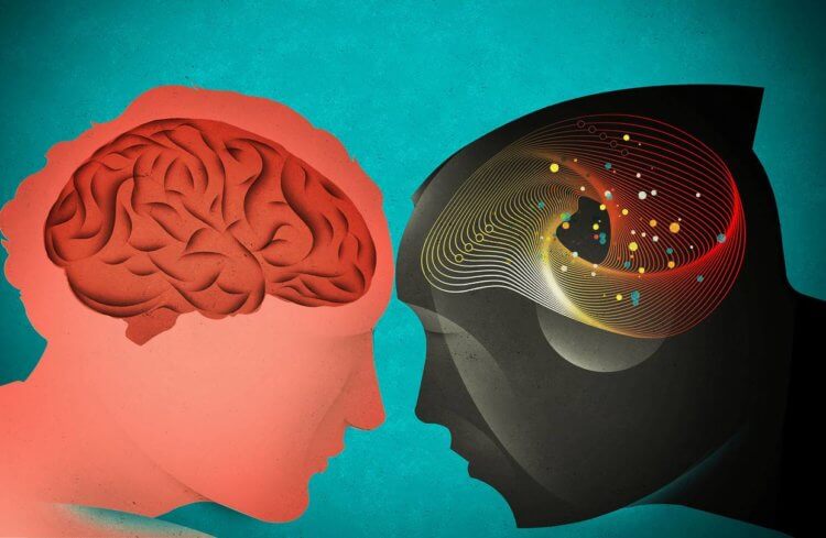 Что такое интеллект? Вопрос о том, связан ли интеллект с размером мозга человека остается открытым многие десятилетия. Фото.