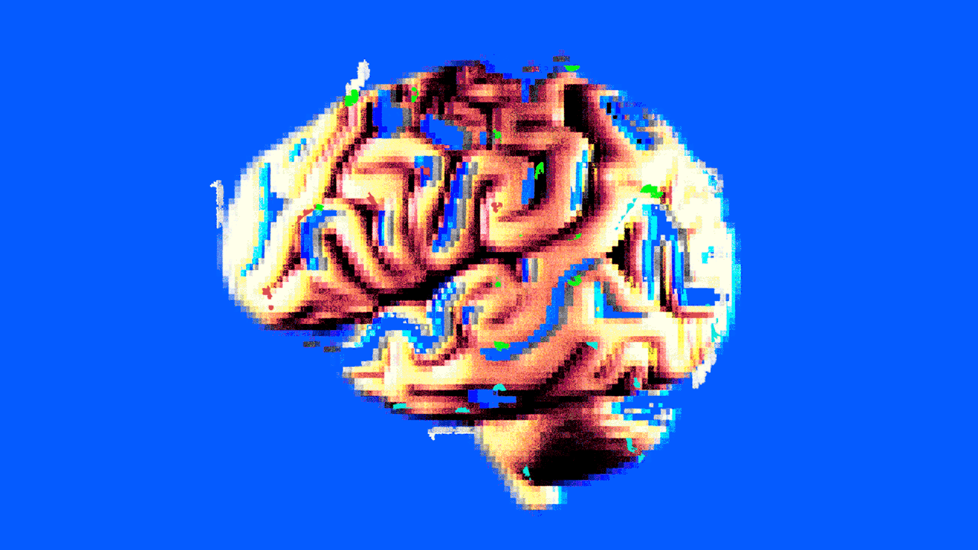 Размер мозга и интеллект. Средний размер мозга человека приблизительно равен 1274 кубическим сантиметрам. Фото.