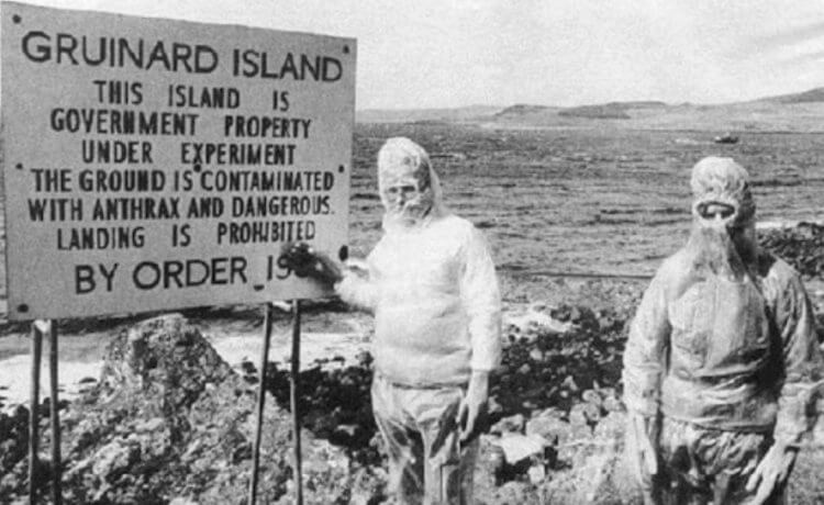 Остров Грюинард. Ученые на острове Грюинард. Фото.