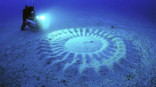 На дне морей есть загадочные круги: что это такое? Фото.