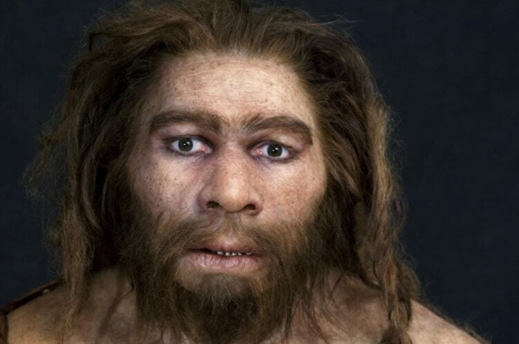 Жизнь неандертальцев. Возможно, предположение ученых ошибочно. Фото.