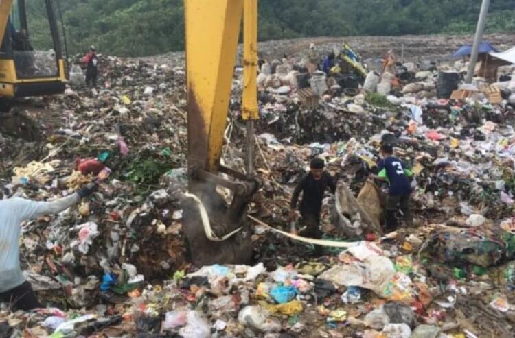Как спасти мир? Сборщики мусора работают в ужасных условиях. Фото.