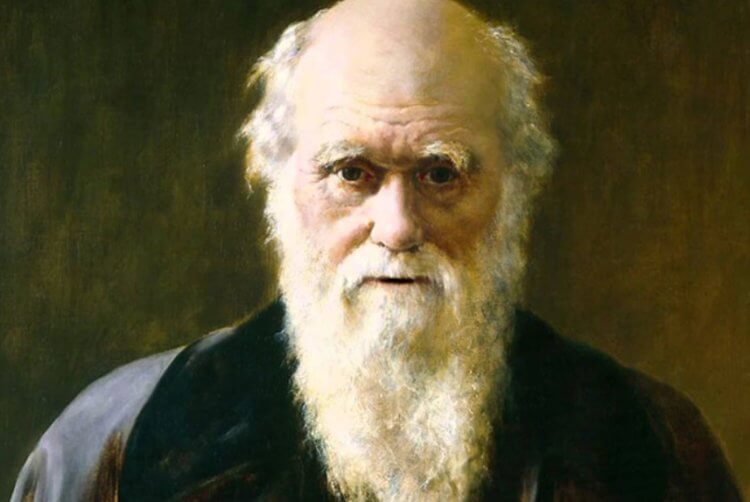 Чарлз Дарвин — великий путешественник. Чарлз Дарвин — человек, который повидал практически весь мир. Фото.