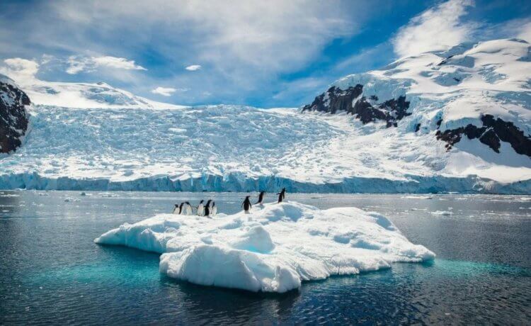 Погода в космосе. Интересный факт: самая холодная температура воздуха на нашей планете была зафиксирована в 1983 году, на территории Антарктиды. Тогда столбики термометров опустились до -89,15 градусов Цельсия. Фото.