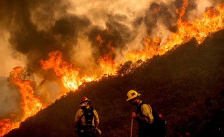 Пожары в Калифорнии: из чего состоит дым и чем он опасен? Прямо сейчас в Калифорнии бушуют лесные пожары. Фото.