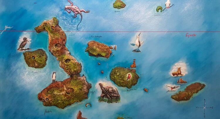 В Тихом океане найдены 30 новых форм жизни. Новые формы жизни обнаружены на территории Галапагосских островов. Фото.