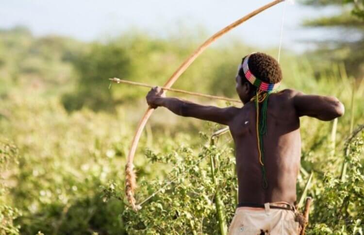 Когда люди начали использовать ядовитые стрелы для охоты? Ядовитые стрелы используются африканскими племенами до сих пор. Фото.