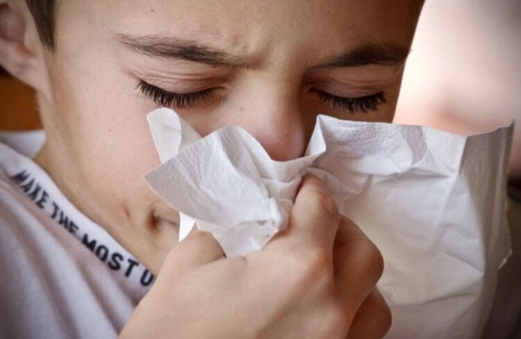 Причины заболеваемости при грозе. Пыльца может вызвать проблемы с органами дыхания, но не в этом случае. Фото.