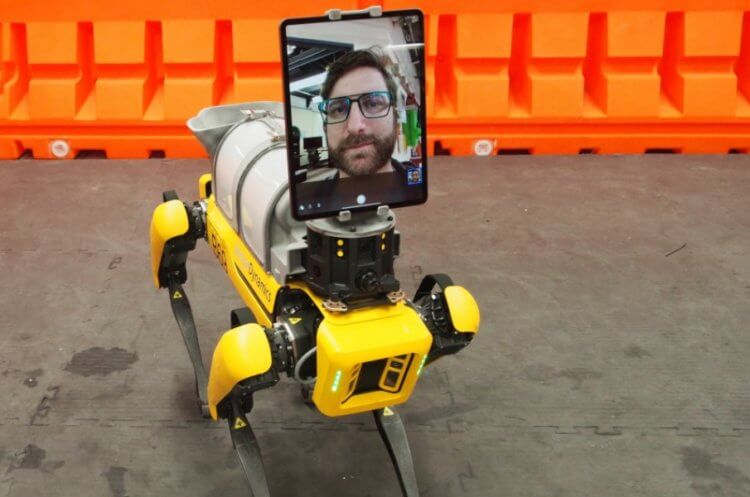 Медицинская помощь от роботов. Робот Boston Dynamics с функцией видеозвонков. Фото.