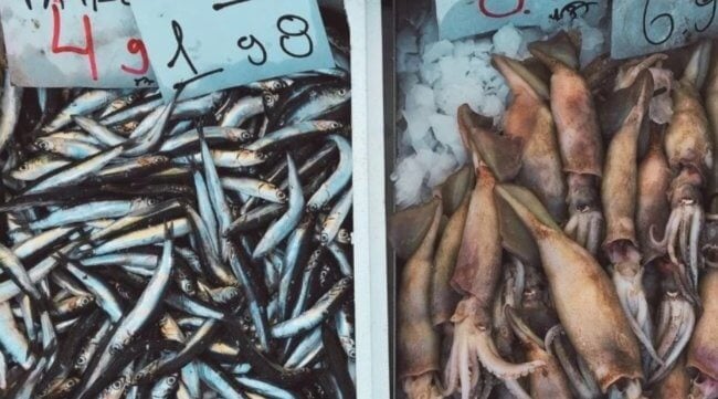 Чем загрязнены морепродукты, которые мы едим? Фото.