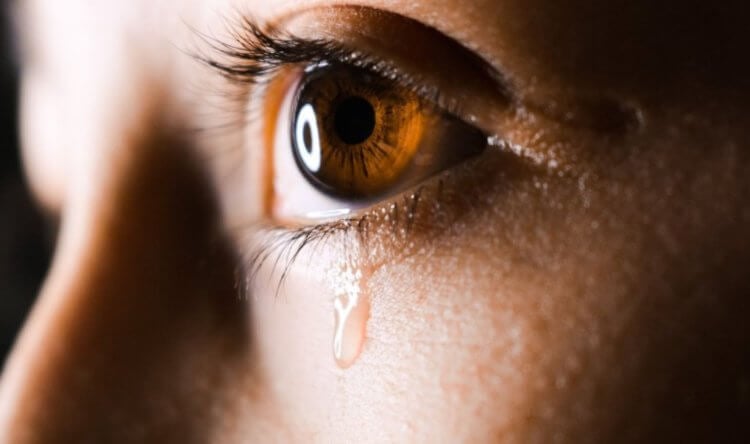 Состав слезы. Получается, что слезы — это отличный антисептик. Фото.