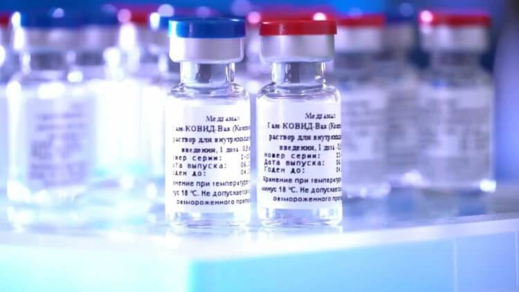 Из чего состоит вакцина от коронавируса? Так выглядит первая в мире вакцина от коронавируса. Фото.