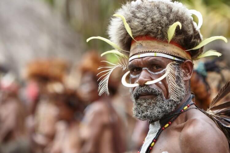 Новая Гвинея. Мужчины племени Дани выглядят так. Фото.