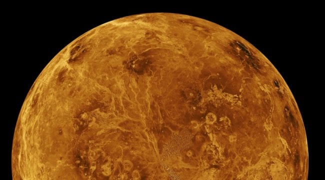 На Венере есть газ, производимый микробами. Ученые нашли инопланетян? Фото.