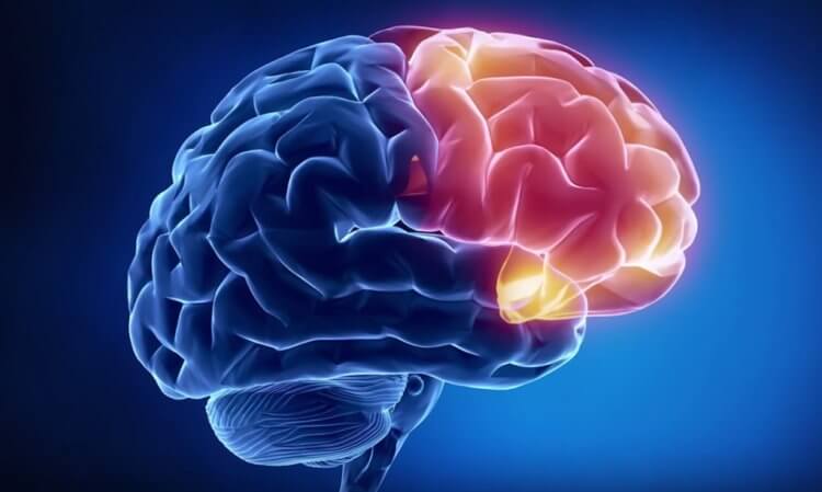 В каком случае мозг человека может превратиться в стекло? Чтобы мозг стал стеклянным, нужны определенные условия. Фото.