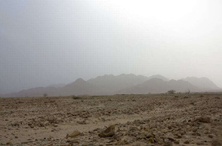 Откуда берется песок? Так выглядит каменистая пустыня. Фото.
