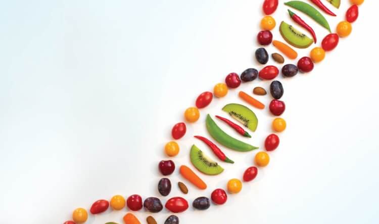 Отзывы о диете по генетическому анализу. Влияние генов на правильную диету еще не доказано. Фото.