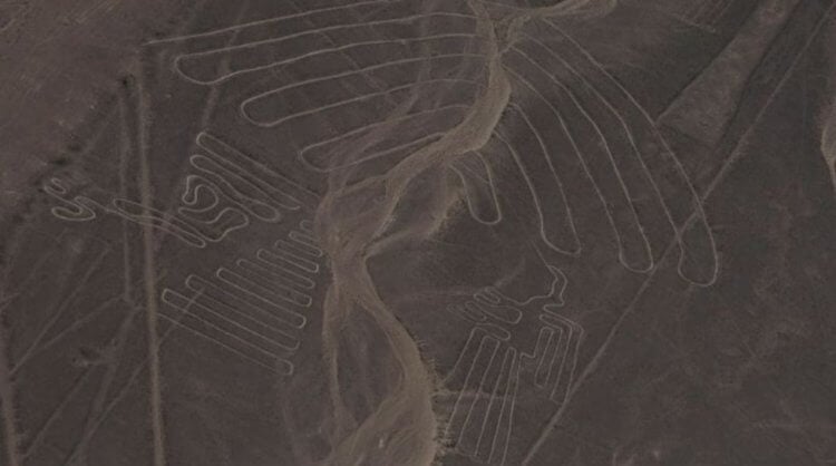 Огромный геоглиф Наски. Геоглифы Наски с высоты птичьего полета. Фото.
