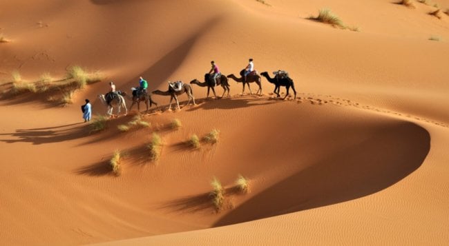 Пустыня Сахара не настолько пуста, как кажется. Фото.